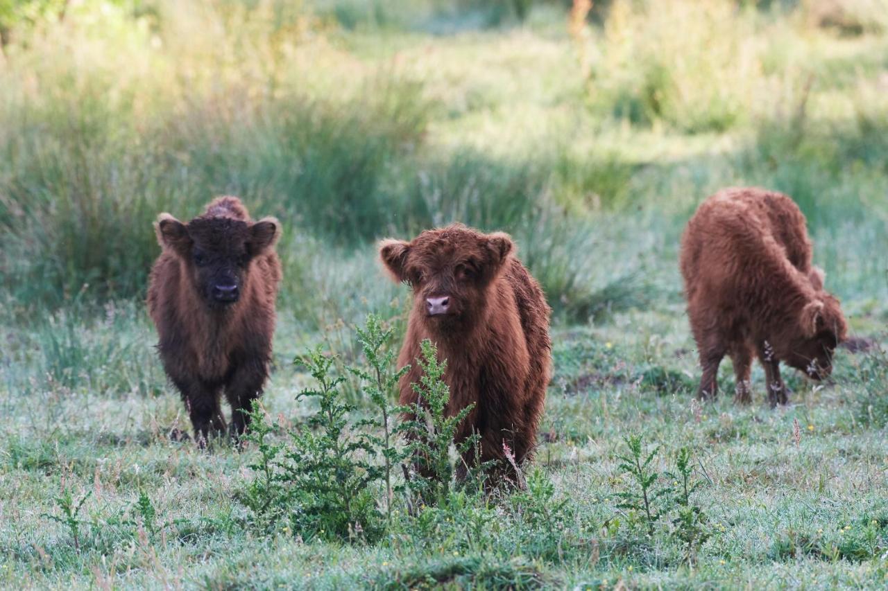 Natuurlogies Buurse Buiten Haaksbergen Luaran gambar